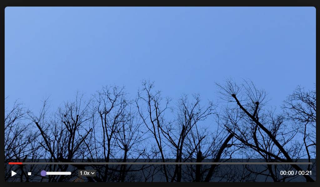 자바스크립트 커스텀 비디오 플레이어 메인 장면